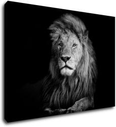 Impresi Tablou Lion black and white - 70 x 50 cm