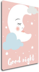 Impresi Obraz Good night pink moon - 30 x 40 cm Decoratiune camera copii