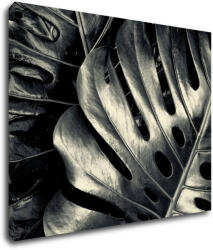 Impresi Tablou Black and white leafs - 90 x 70 cm