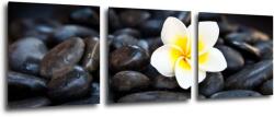 Impresi Tablou White blossom on black stones - 90 x 30 cm (3-piese)