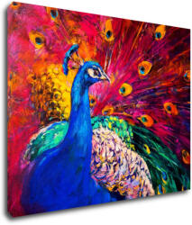 Impresi Tablou Colorful Peacock - 90 x 70 cm