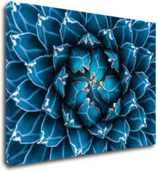Impresi Tablou Blue blossom - 70 x 50 cm