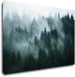 Impresi Tablou Fogy forest - 90 x 60 cm