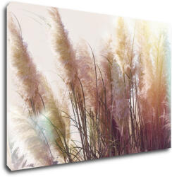 Impresi Tablou Grass - 90 x 60 cm