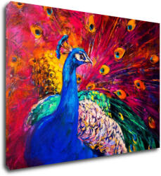 Impresi Tablou Colorful Peacock - 70 x 50 cm