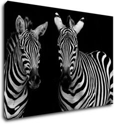 Impresi Tablou Duo zebras black and white - 70 x 50 cm