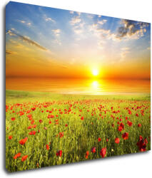 Impresi Tablou Poppies field - 90 x 70 cm
