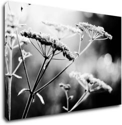 Impresi Tablou Black and white meadow flower - 60 x 40 cm
