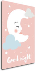 Impresi Obraz Good night pink moon - 60 x 40 cm Decoratiune camera copii