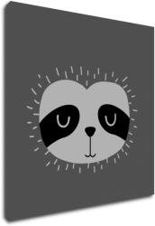 Impresi Obraz Little sloth - 30 x 30 cm Decoratiune camera copii