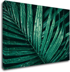 Impresi Tablou Green leaf with drops of water - 90 x 60 cm
