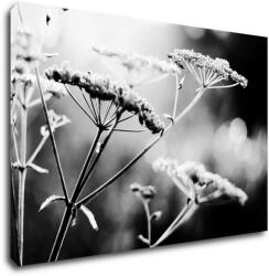 Impresi Tablou Black and white meadow flower - 90 x 60 cm