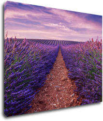 Impresi Tablou Lavender field - 90 x 70 cm