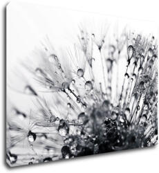 Impresi Tablou Flower with little drops of water - 70 x 50 cm