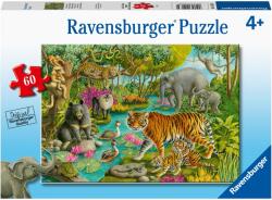 Ravensburger Padure in India 60 (RVSPC05163) Puzzle