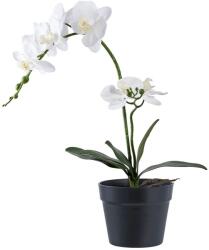 House Nordic művirág cserépben Orchid zöld - zöld Univerzális méret