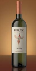  Tbilvino Sachino 2023 (0, 75 L)