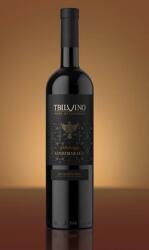  Tbilvino Kindzmarauli 2023 (0, 75 L)