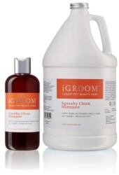 Shampoo Squeaky Clean 3, 79 l