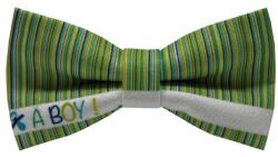 Papionette Papion a boy (PRT718)