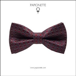 Papionette Papion trabucco bordeaux (TRB086)