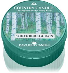 The Country Candle Company White Birch & Rain teamécses 42 g