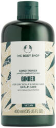 The Body Shop Gyömbéres hajbalzsam (250 ml)