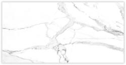 Izida ceramica ГРАНИТОГРЕС KALOS WHITE 30x60R 8мм (111CA11)