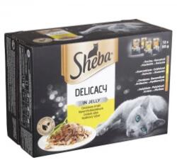 Sheba alutasak 12 pack szárnyas 12*85gr Multipack