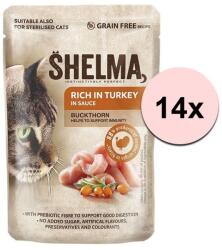 Shelma Shelma Cat Capsule curcan-buckthorn în sos 14 x 85 g