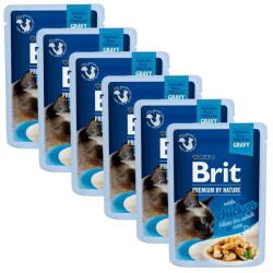 Brit Pliculeț BRIT Premium Cat Delicate Fillets in Gravy with Chicken 6 x 85 g