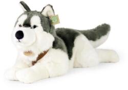 Rappa Husky plüss kutya nyakörvvel fekvő 60 cm KÖRNYEZETBARÁT (RP211254)