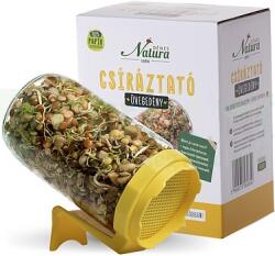 Dénes Natura Recipient pentru germinare din sticlă (1buc)