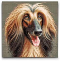  Gyémántszemes kirakó - Afgán kopó Méret: 50x50cm, Keretezés: Keret nélkül (csak a vászon), Gyémántok: Négyzet alakú