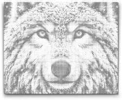  PontPöttyöző - A havas farkas Méret: 30x40cm, Keretezés: Műanyagtáblával, Szín: Zöld