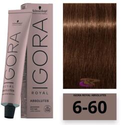 Schwarzkopf Igora Royal Absolutes hajfesték, 6-60 - hajvarazs