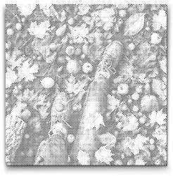  PontPöttyöző - Őszi gyümölcs Méret: 50x50cm, Keretezés: Kerek keret, Szín: Zöld