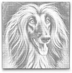  PontPöttyöző - Afgán kopó Méret: 50x50cm, Keretezés: Kartonlemezen, Szín: Piros