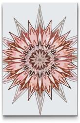  Festés számok szerint - Tüskés mandala Méret: 20x30cm, Keretezés: Kartonlemezen