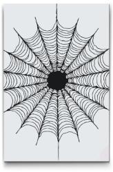 Festés számok szerint - Pókháló mandala Méret: 40x60cm, Keretezés: Kartonlemezen