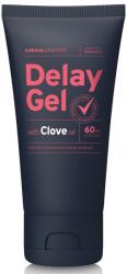 Cobeco Pharma Gel intarziere ejaculare, Cobeco, 60 ml