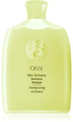 ORIBE Hair Alchemy Resilience Shampoo erősítő sampon a törékeny hajra 250 ml