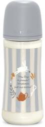 Suavinex Wonderland SX Pro Physiological Anti-Colic cumisüveg L Dense Flow 6 m+ Blue 360 ml