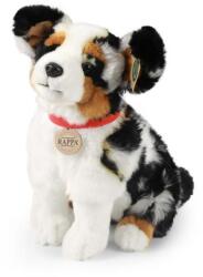 Rappa Plüss kutya ausztrál juhász 30 cm ÖKO-BARÁT (RP240186)