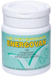 VANELLI Energovan 100 cpr