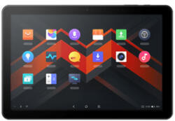 SUNMI M2 MAX, 25, 7cm (10, 1''), Scanner (2D), USB-C, BT, Wi-Fi, 4G, Android, kit (USB) (P10010025)