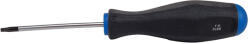 BGS technic Csavarhúzó torx - lyukas - T9 - 60 mm (9-32961)