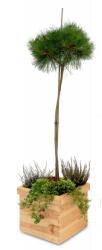 AtmoWood Négyzet alakú fa virágcserép 32 x 32 x 25 cm (6038)