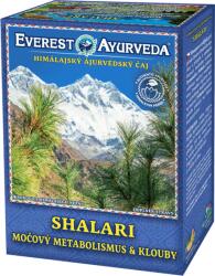 Everest Ayurveda Shalari - Vizeletanyagcsere és ízületek, 100g