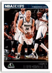 Panini 2014-15 Hoops #89 Chase Budinger